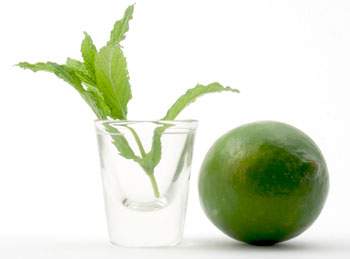 1oz. shot glass with mint and lime